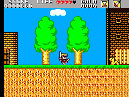 Super Wonder Boy - Monster World